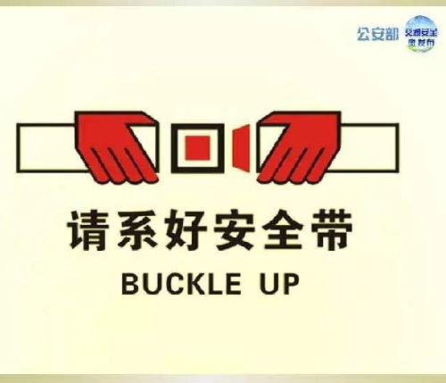 Safety Belt