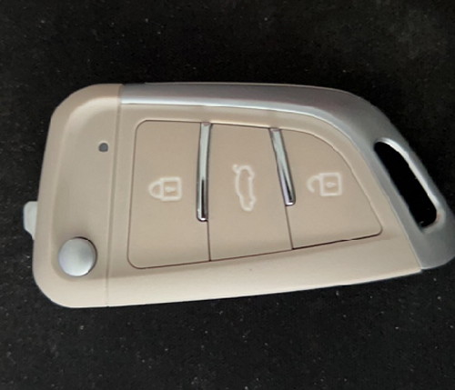 Remote key+Center Control Lock