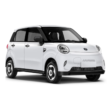 Why Micro Electric Cars Are the Future of Urban Transportation