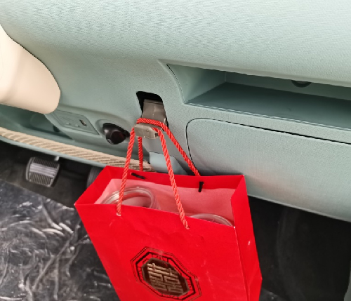 Hook for front passenger