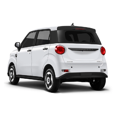 Micro Electric Car Market Growth: What’s Driving The Global Demand?